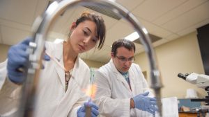 sinh viên y nghiên cứu trong phòng thí nghiệm