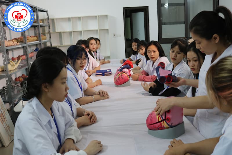 Khung chương trình đào tạo