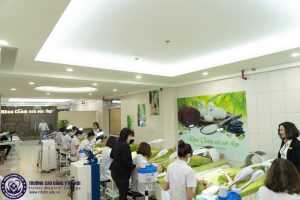 Thông tin trường Cao đẳng Y Hà Nội
