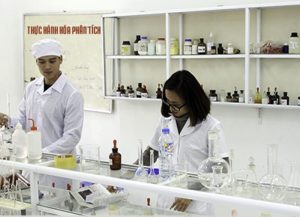 Dược sĩ Cao đẳng ra trường làm gì